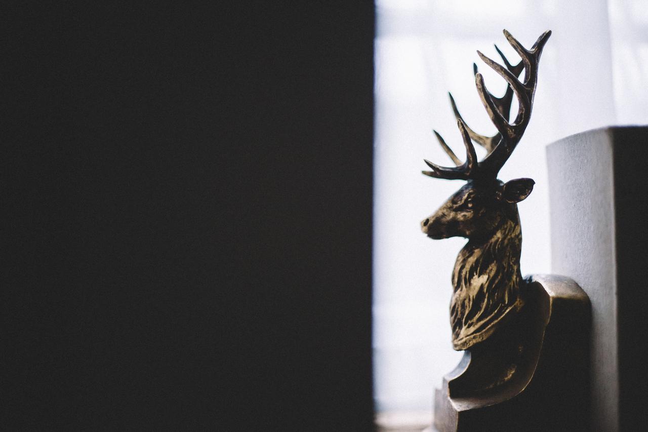 The Stag At Hotel 4*